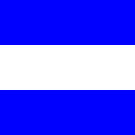 J (Juliett) Flag