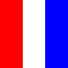 T (Tango) Flag