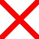 V (Victor) Flag
