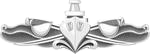 Enlisted Surface Warfare Pin