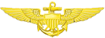 Navy Pilot Wings