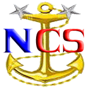 Navy Cyberspace logo