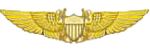 Navy NFO Wings