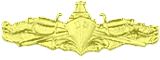 Officer Surface Warfare Pin
