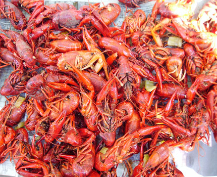 Cooked Crawfish (Mud bugs)