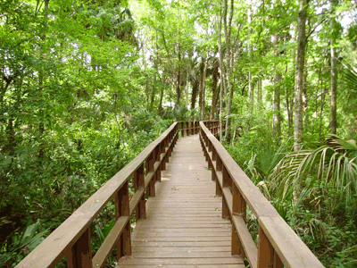 Wooden walkway