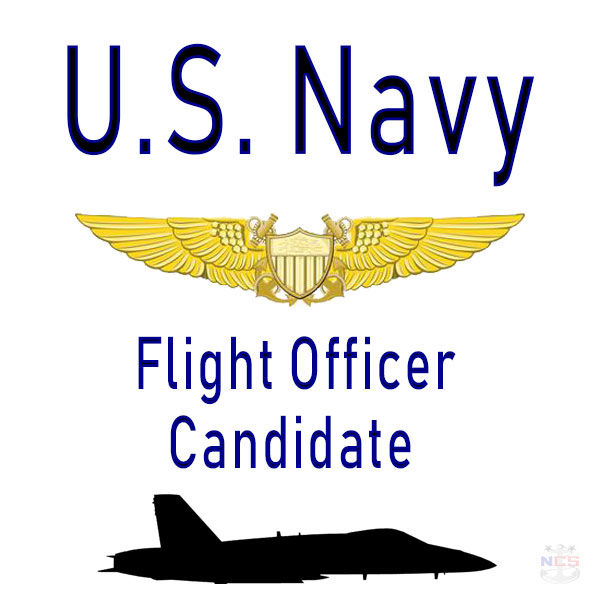 Naval Flight Officer Warfare Insignia