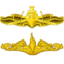 Navy Surface Warfare Officer Pin and Submarine Warfare Officer Pin