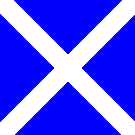 Mike Signal Flag