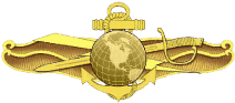 Navy Information Dominance Warfare Officer insignia