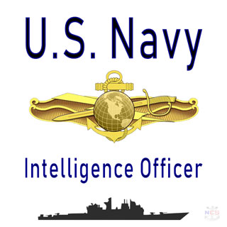 Navy Warfare Pins Chart