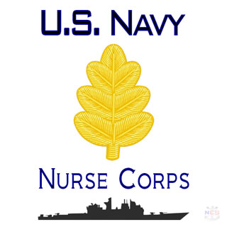 Navy Nurse Pay Chart